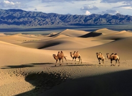 gobi-desert-mongolia_12249_600x450